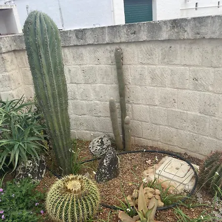 Holiday home Cactus E Ulivi A Speziale *
