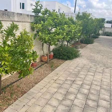 Cactus E Ulivi A Speziale Holiday home