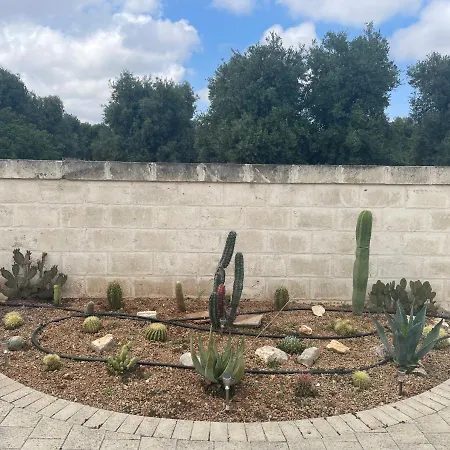 Cactus E Ulivi A Speziale Montalbano (Apulia)